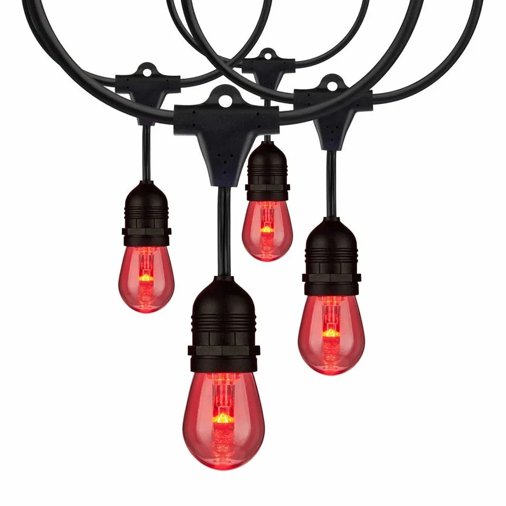 24Ft - 12-S14 Lamp - LED String Light - Starfish IOT - RGBTW