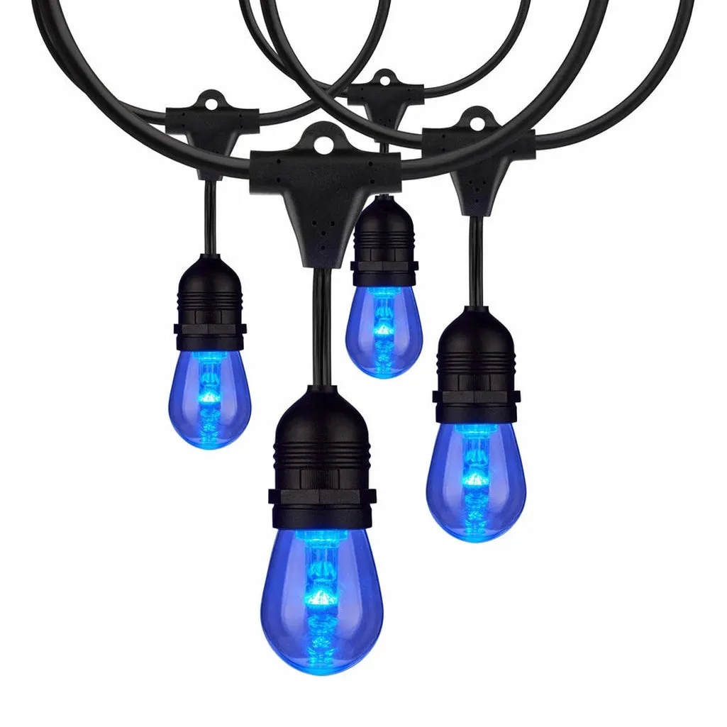 24Ft - 12-S14 Lamp - LED String Light - Starfish IOT - RGBTW