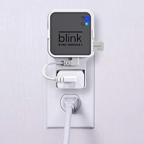 256GB USB Flash Drive for Local Video Storage with The Blink Sync Module 2 Mount (Blink Add-On Sync Module 2 is NOT Included)