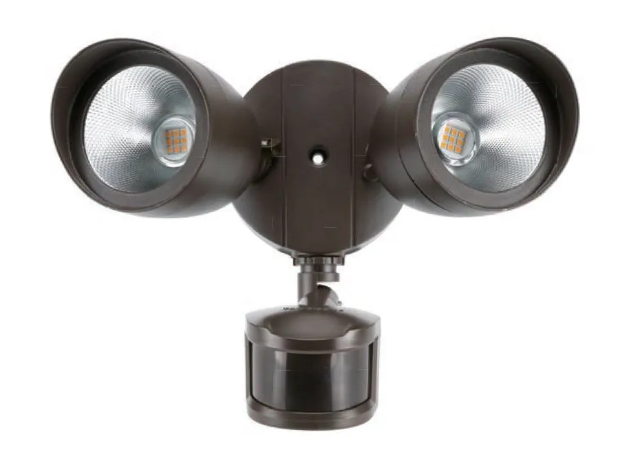 Aegis Security Light
