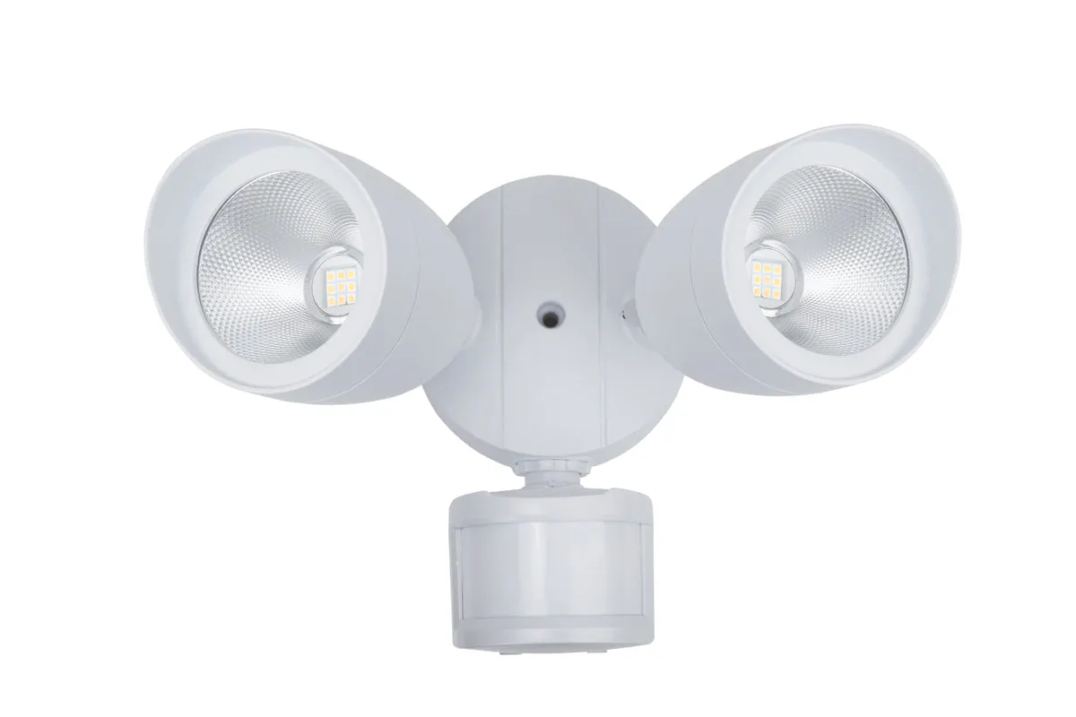 Aegis Security Light