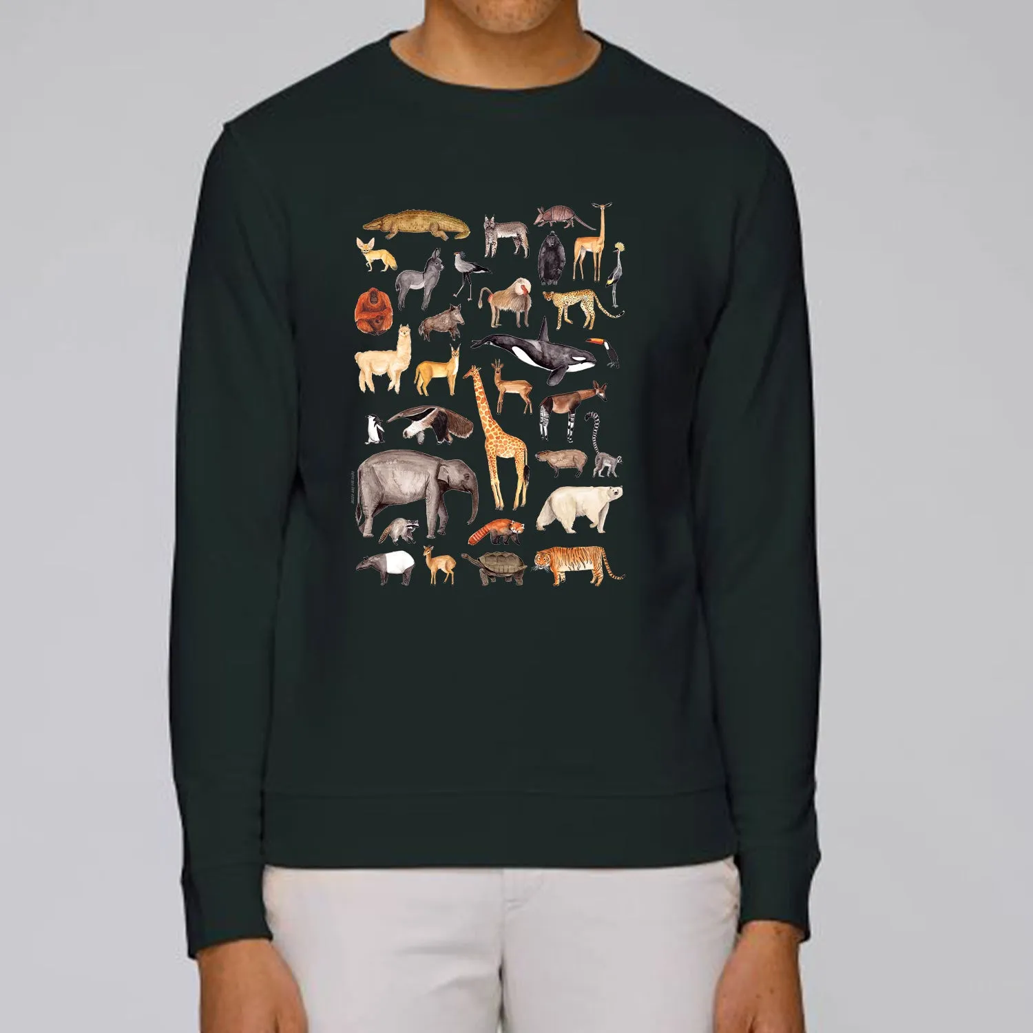 Animal Poster