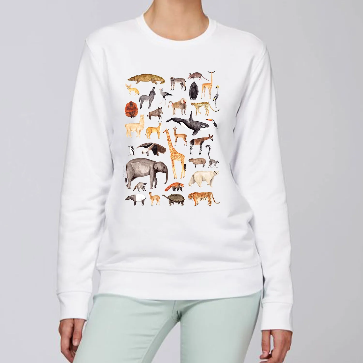Animal Poster