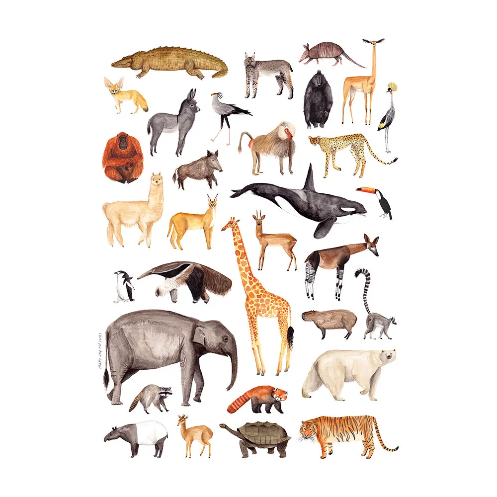 Animal Poster