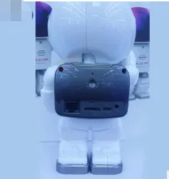 Astronaut Robot Camera IP Wifi Wireless