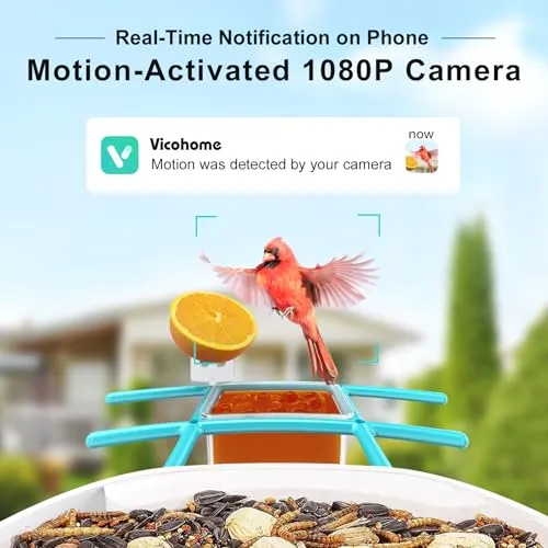 birdsnap® TUC- Smart Bird Feeder with Camera Solar Panel SD Card 4-in-1 Perch, 160°View 1080P Auto Detect & Notify, AI Identify 10000  Bird Watching Camera Wireless Outdoor for Bird Lover, Blue