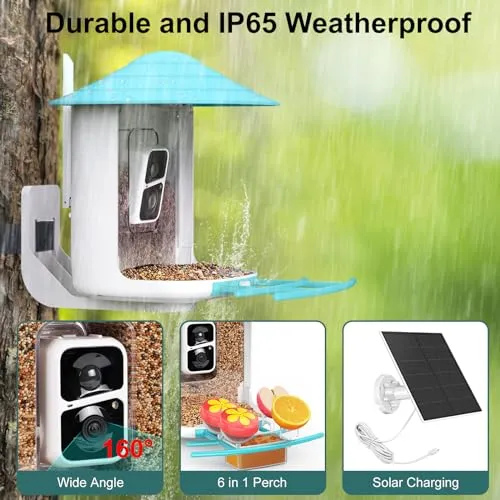 birdsnap® TUC- Smart Bird Feeder with Camera Solar Panel SD Card 4-in-1 Perch, 160°View 1080P Auto Detect & Notify, AI Identify 10000  Bird Watching Camera Wireless Outdoor for Bird Lover, Blue