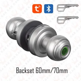 Fingerprint Door Lock with Knob Cylinder