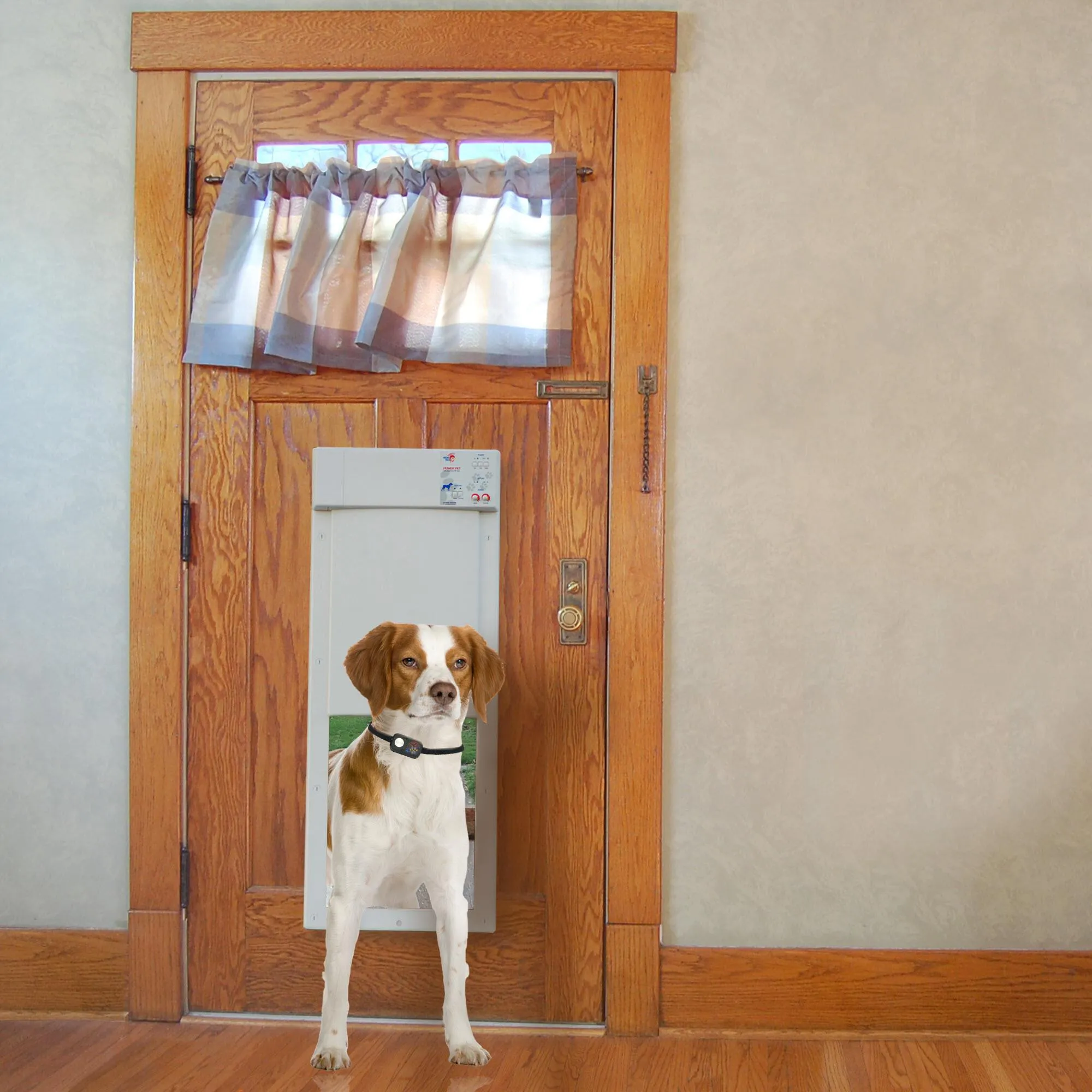 High Tech Pet Door PX2 Large WiFi Door