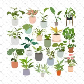 Indoor Plants (20 figures)