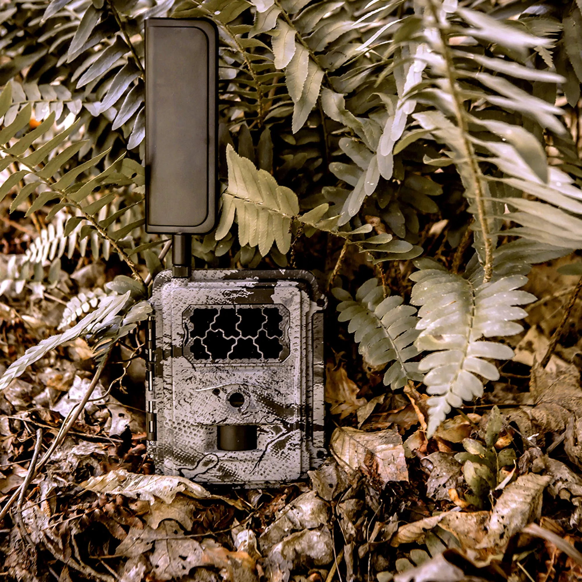 International Spartan GoCam 4G/LTE