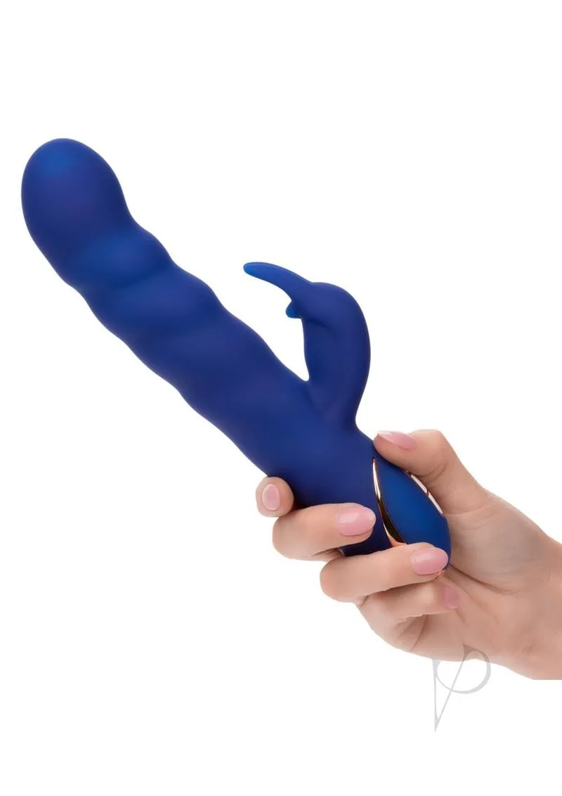 Jack Rabbit Sig Wave Motion Rabbit Blu