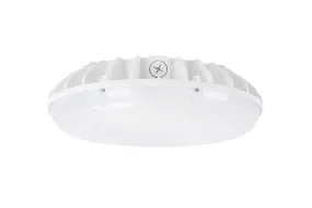 LED Canopy Light, 30W, 45W or 60W, 3600-7100 Lumens, 4000K or 5000K, Dimmable, DLC 5.1 Premium, 120-277V