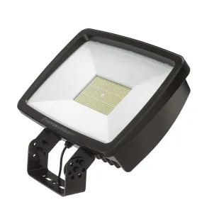 Lithonia Contractor Select TFX4 296W LED Floodlight, Yoke Mount