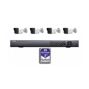LTS LTN08-4BL4M-2T 4TB 8-Channel NVR Kit with 4x 4MP Mini Bullet IP Cameras
