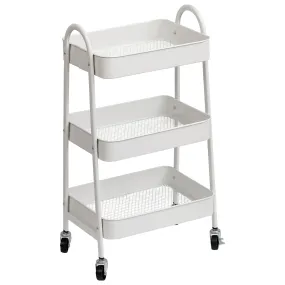 Metal Trolly