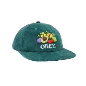 Obey Fruits 6 Panel - Dark Cedar