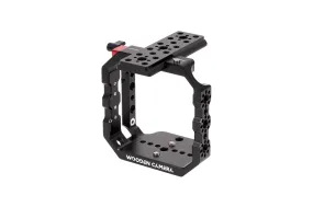 Panasonic BGH1/BS1H Camera Cage