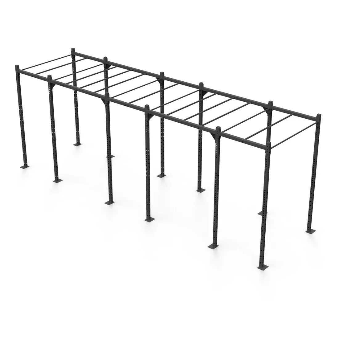Rig - 6 Squat Cells with Monkey - X-Frame