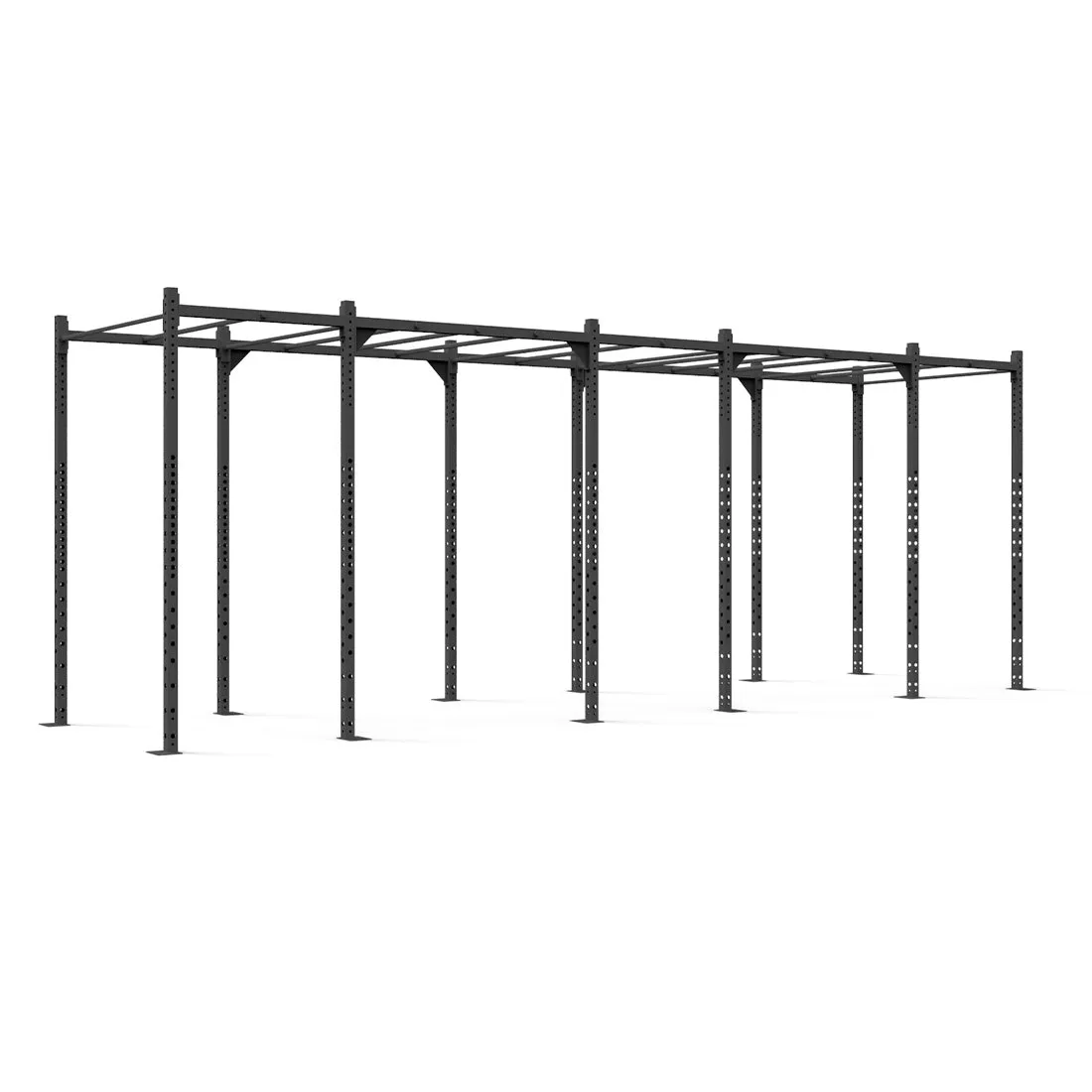 Rig - 6 Squat Cells with Monkey - X-Frame