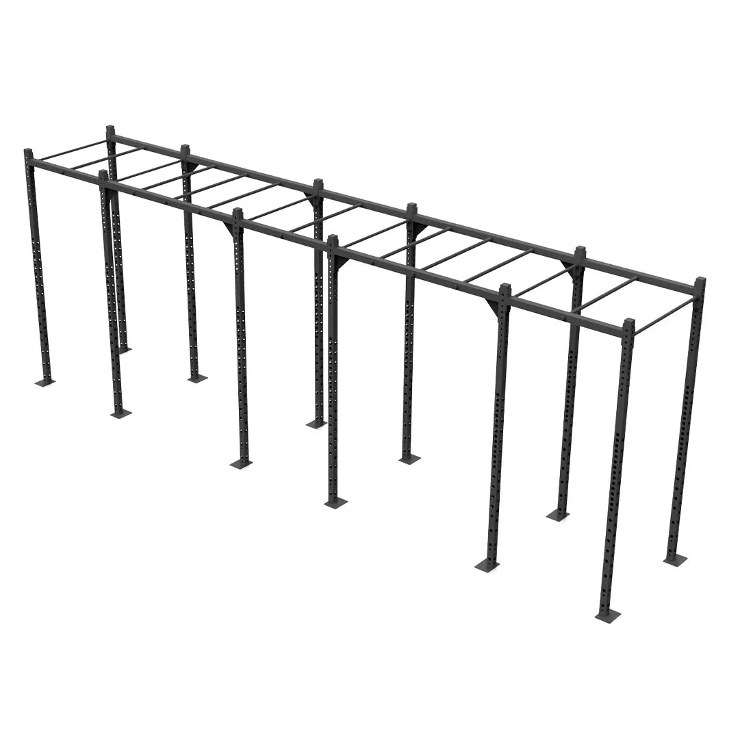 Rig - 6 Squat Cells with Monkey - X-Frame