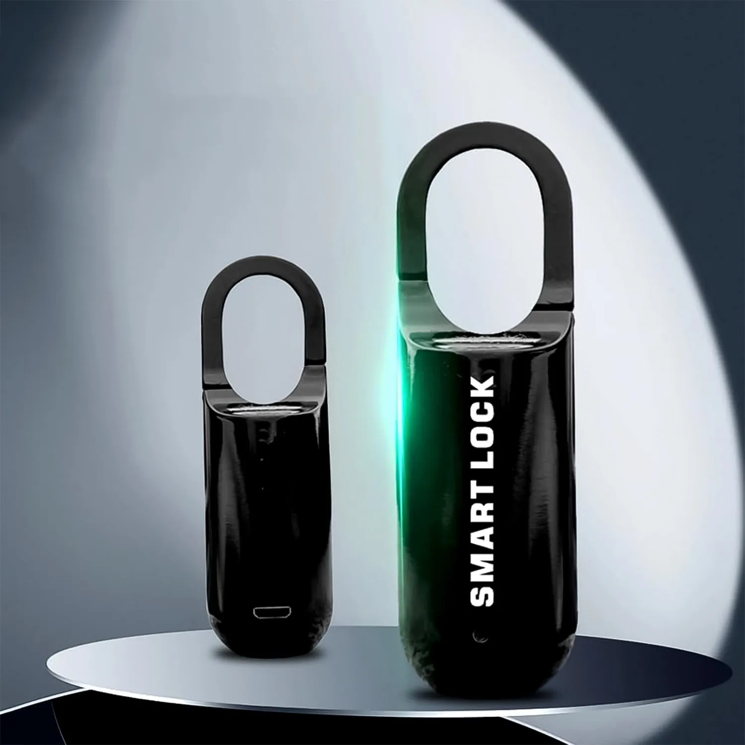 Small USB Rechargeable Smart Fingerprint Padlock (1 Pc)