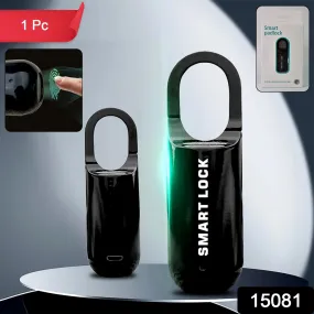 Small USB Rechargeable Smart Fingerprint Padlock (1 Pc)