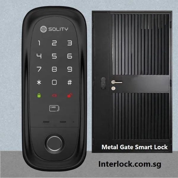 Solity GD-65B