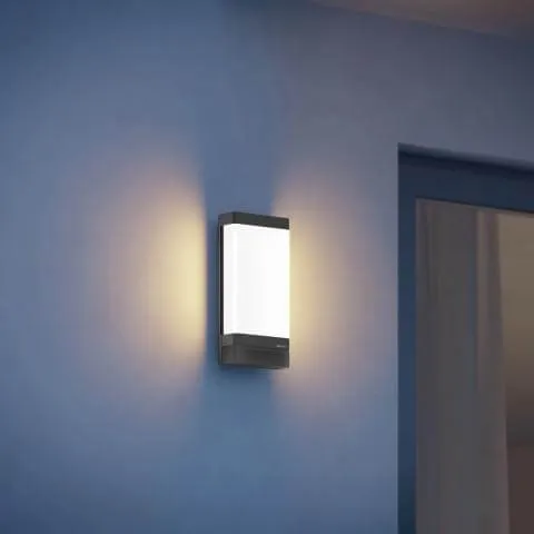 Steinel L 271 Digi SC Anthracite Outdoor Wall Light  Smart Bluetooth Controlled LED Light Operated via App - With Sensor & With Bluetooth