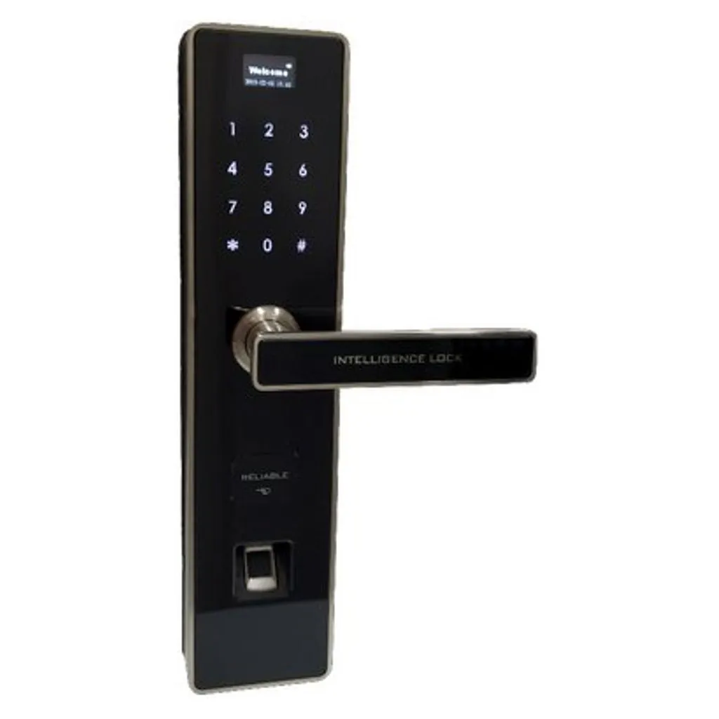 Time Office FingerPrint Villa Locks Z511