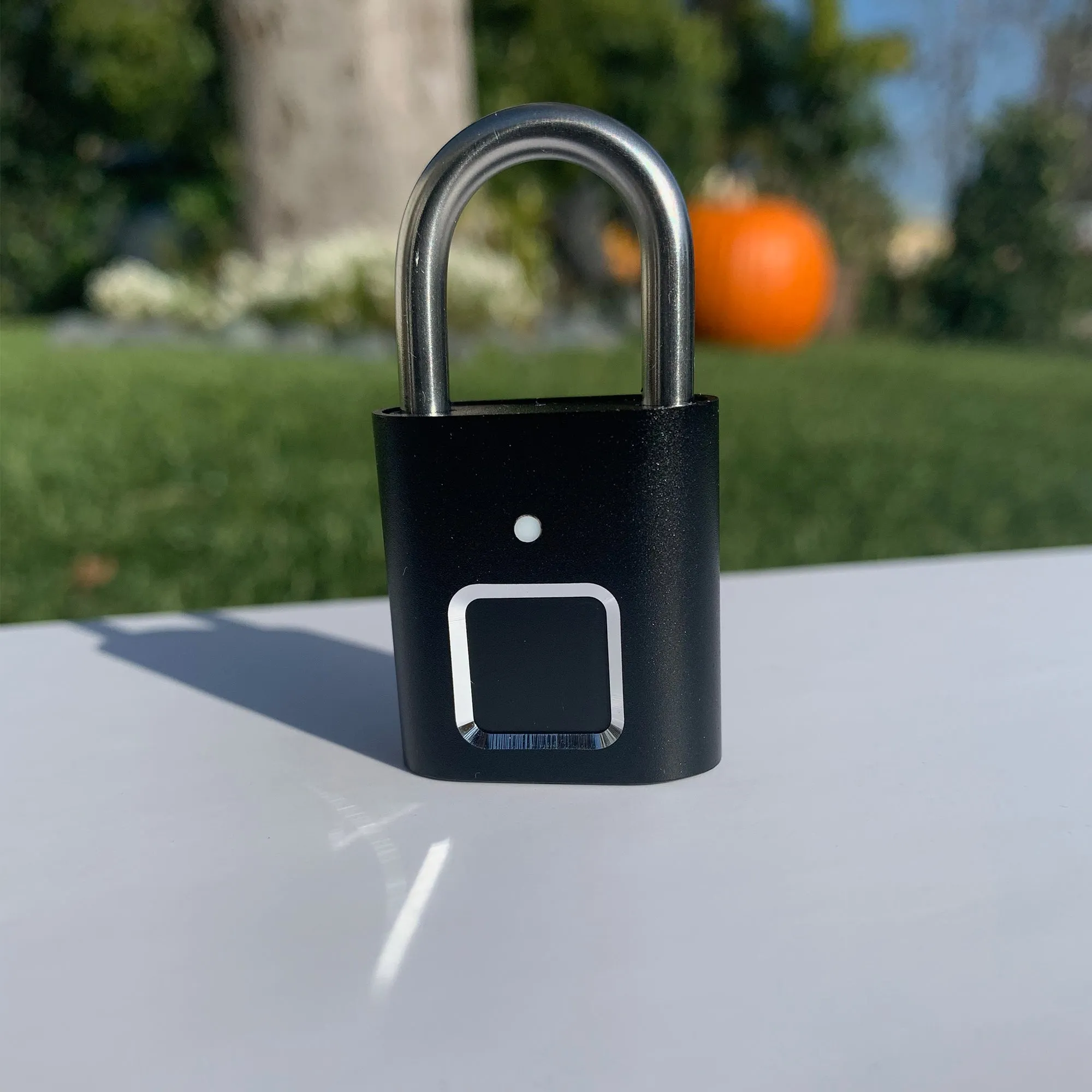 TOKK Fingerprint Small Lock
